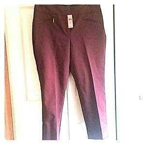 Burgundy Ann Taylor Pants